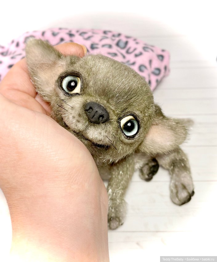 Bentley🐶чихуахуа натюр. 20 см 🐾 (фото 9)