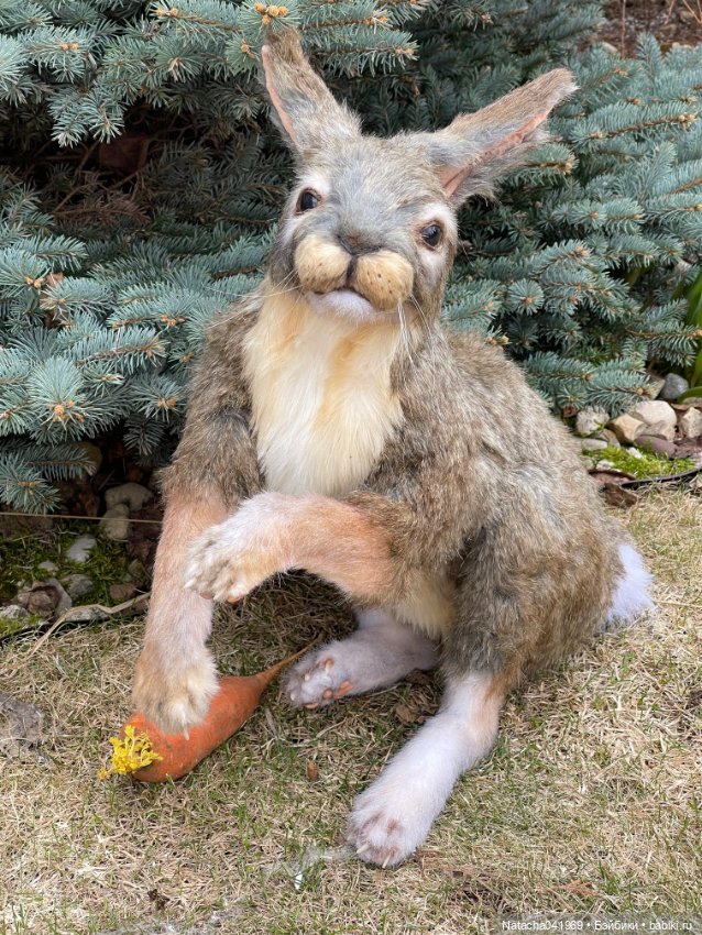 С приближающимся праздником Светлой Пасхи (фото 4)