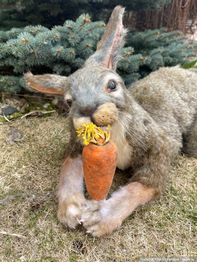 С приближающимся праздником Светлой Пасхи (фото 5)