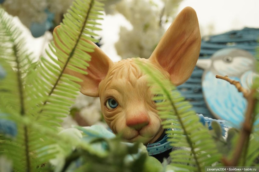 Весна и кот Персик — Куклы Реборн (Reborn): работы мастеров (фото 4)