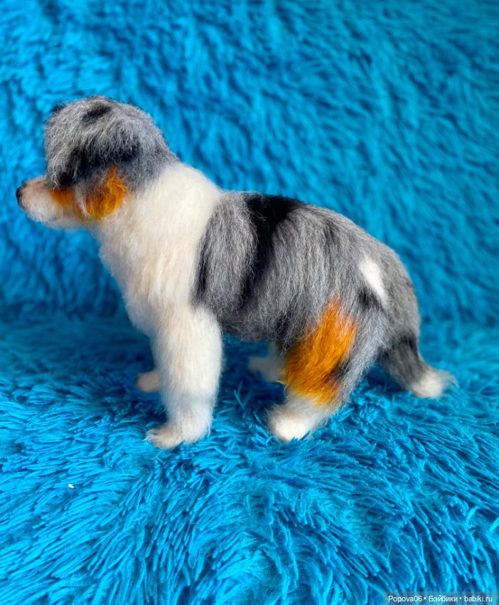 Австралийская собачка (Аусси) (фото 3)