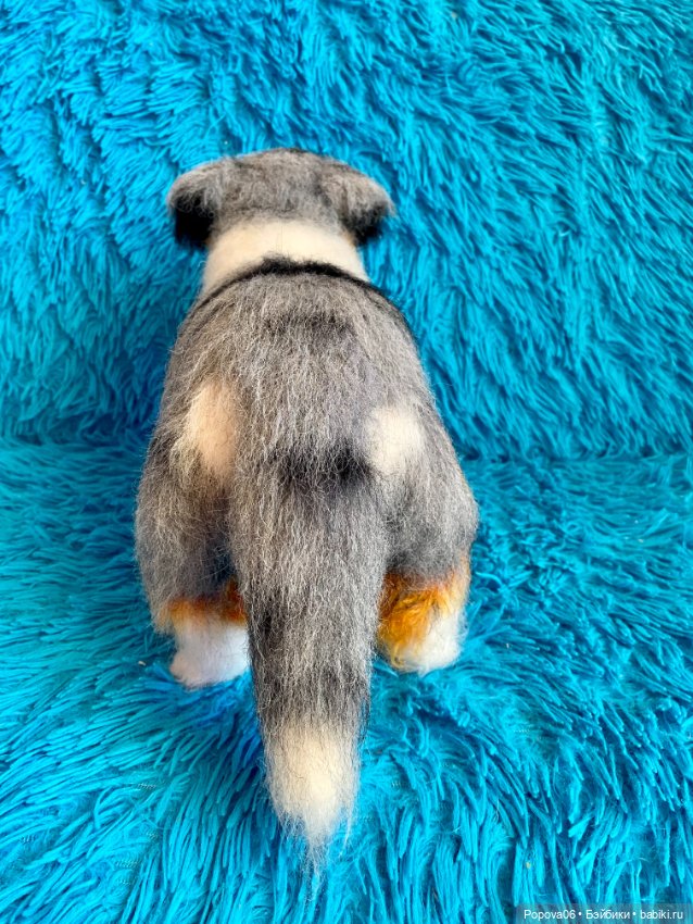 Австралийская собачка (Аусси) (фото 2)