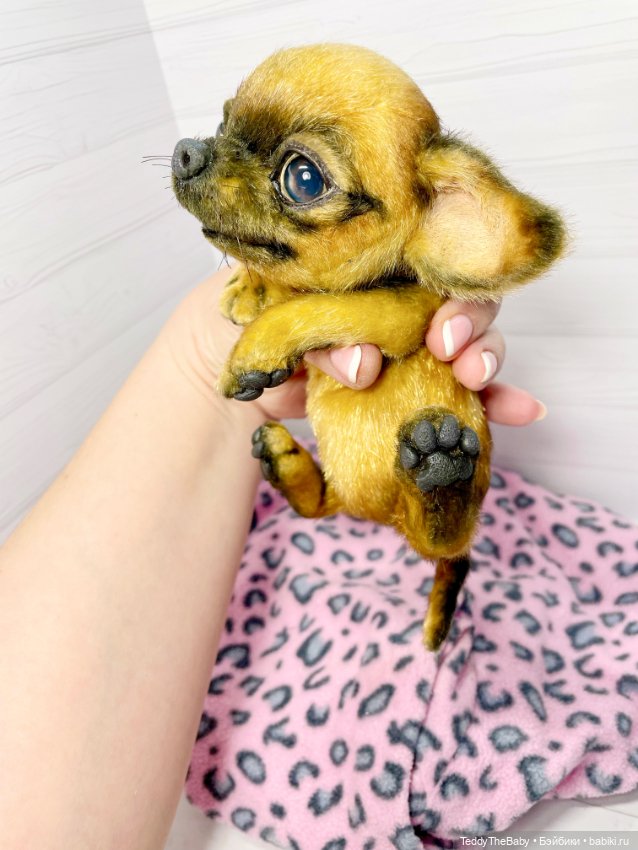 Joy 17 см чихуахуа 🐾🐶 — Реалистичные игрушки и звери (Натюр): собаки