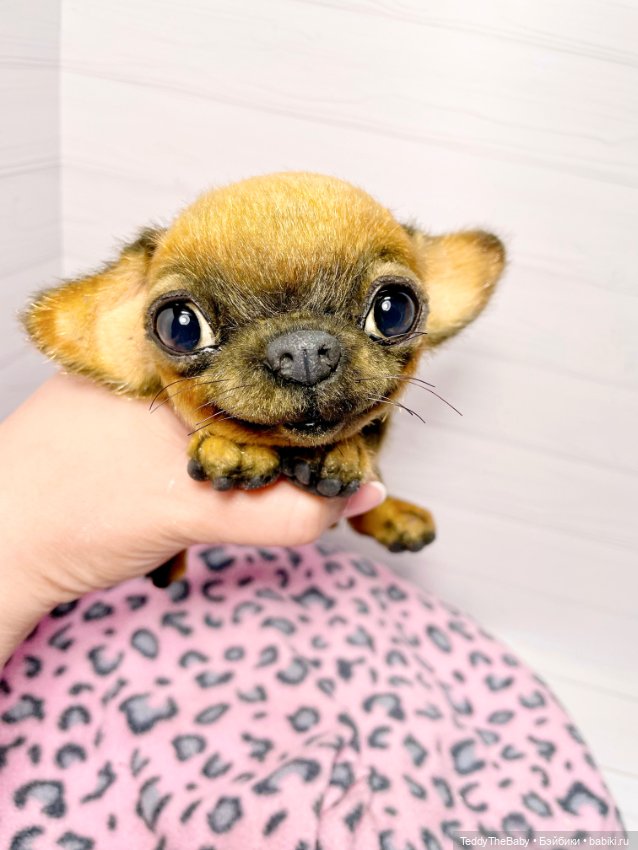 Joy 17 см чихуахуа 🐾🐶 — Реалистичные игрушки и звери (Натюр): собаки