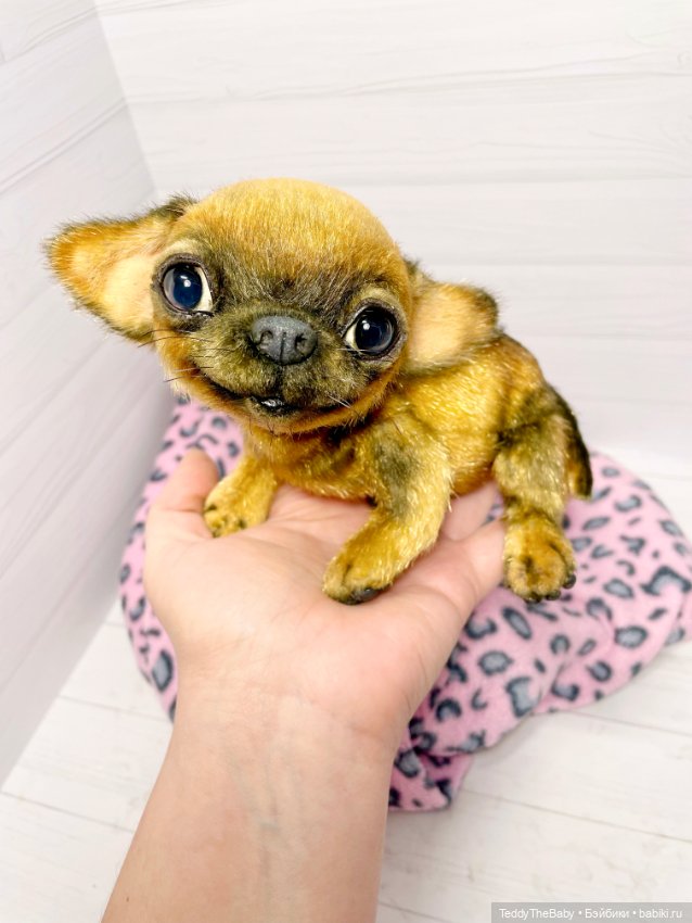 Joy 17 см чихуахуа 🐾🐶 — Реалистичные игрушки и звери (Натюр): собаки