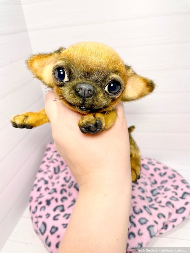 Joy 17 см чихуахуа 🐾🐶 — Реалистичные игрушки и звери (Натюр): собаки