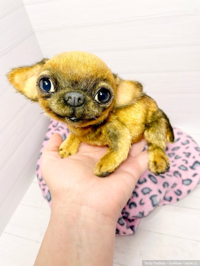 Joy 17 см чихуахуа 🐾🐶 — Реалистичные игрушки и звери (Натюр): собаки