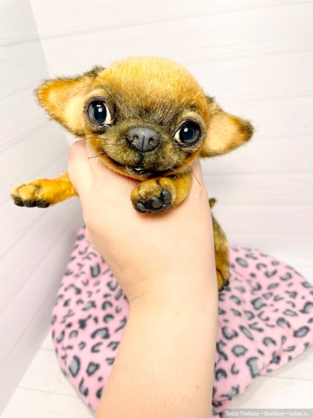 Joy 17 см чихуахуа 🐾🐶 — Реалистичные игрушки и звери (Натюр): собаки (фото 10)