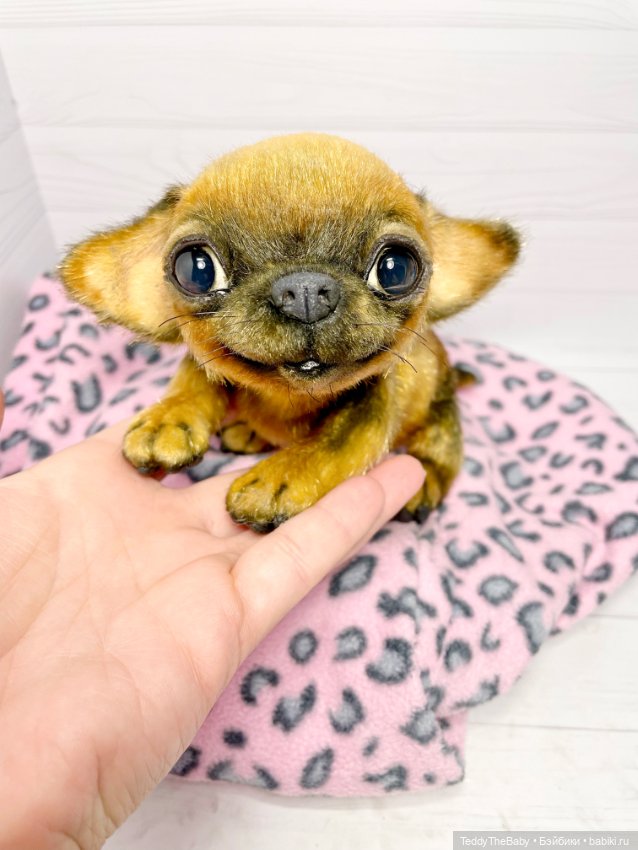 Joy 17 см чихуахуа 🐾🐶 — Реалистичные игрушки и звери (Натюр): собаки (фото 7)