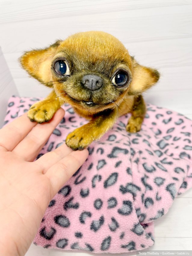 Joy 17 см чихуахуа 🐾🐶 — Реалистичные игрушки и звери (Натюр): собаки (фото 8)