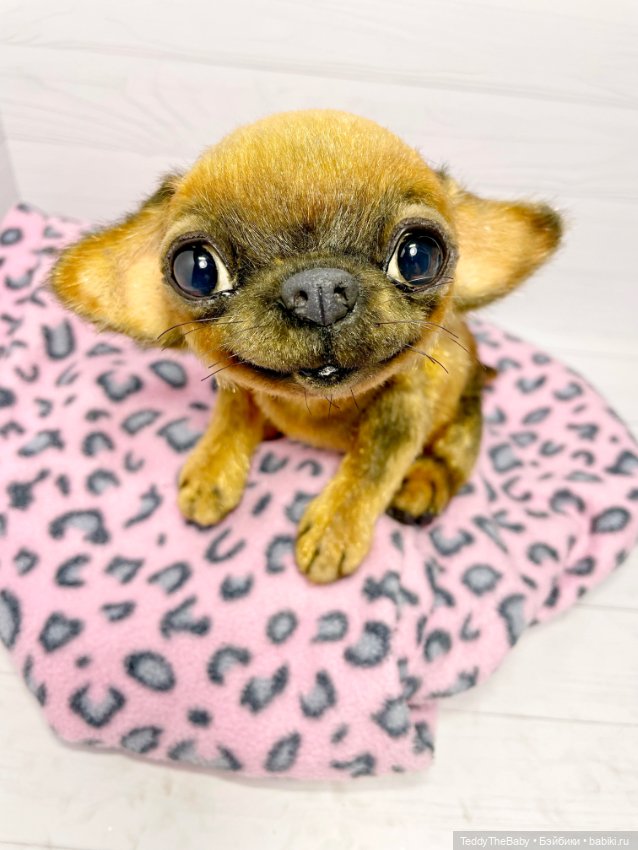 Joy 17 см чихуахуа 🐾🐶 — Реалистичные игрушки и звери (Натюр): собаки (фото 2)