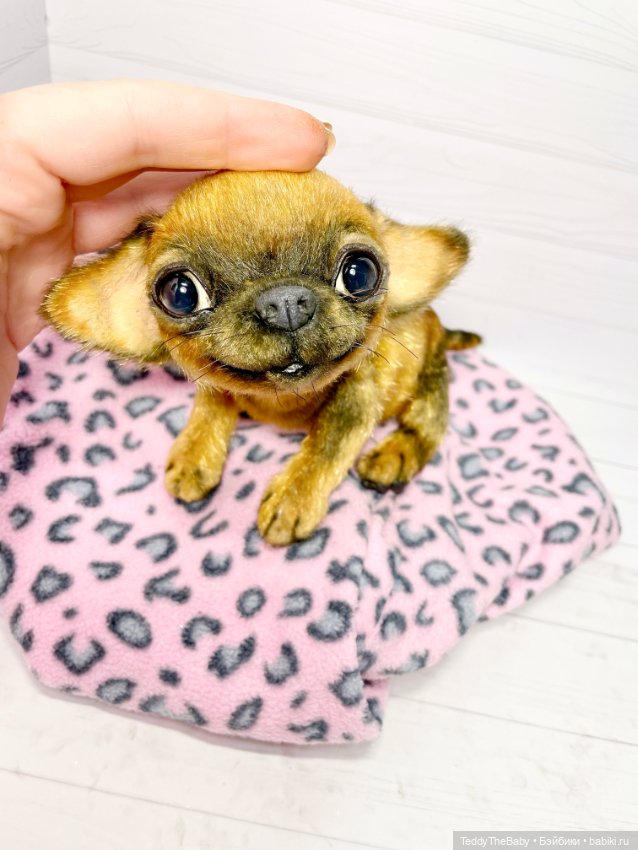 Joy 17 см чихуахуа 🐾🐶 — Реалистичные игрушки и звери (Натюр): собаки (фото 5)