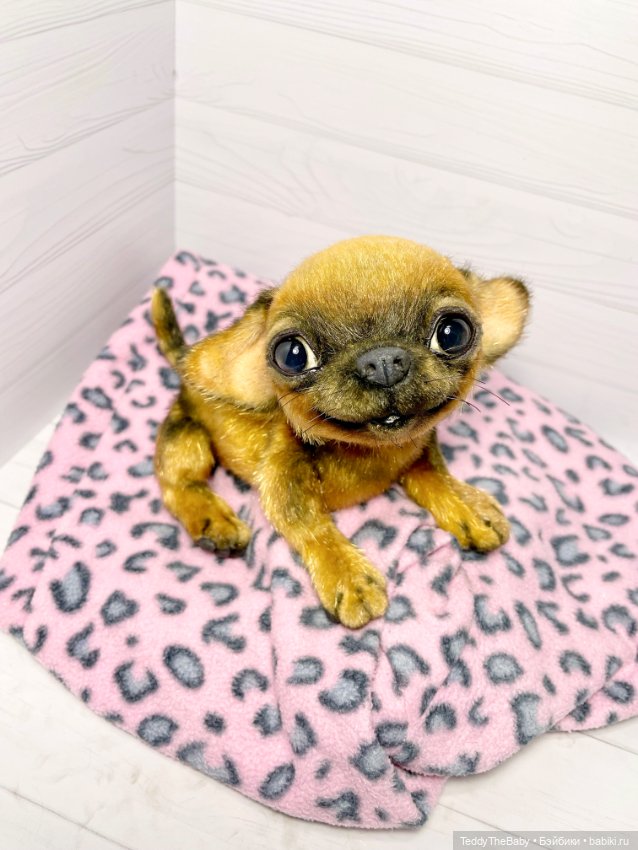 Joy 17 см чихуахуа 🐾🐶 — Реалистичные игрушки и звери (Натюр): собаки