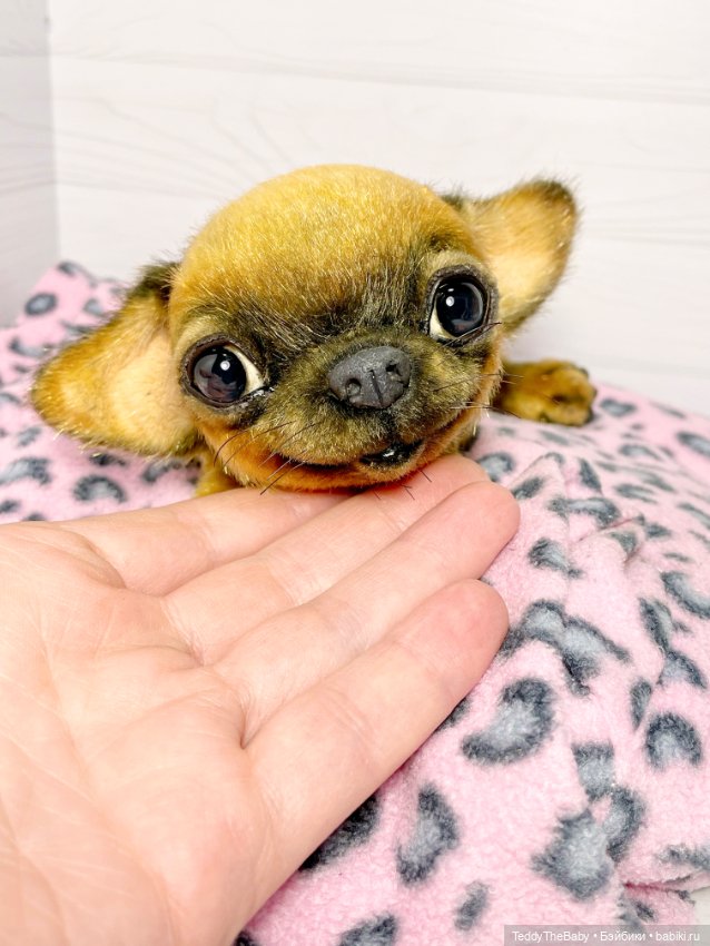 Joy 17 см чихуахуа 🐾🐶 — Реалистичные игрушки и звери (Натюр): собаки