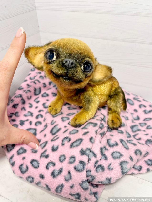 Joy 17 см чихуахуа 🐾🐶 — Реалистичные игрушки и звери (Натюр): собаки