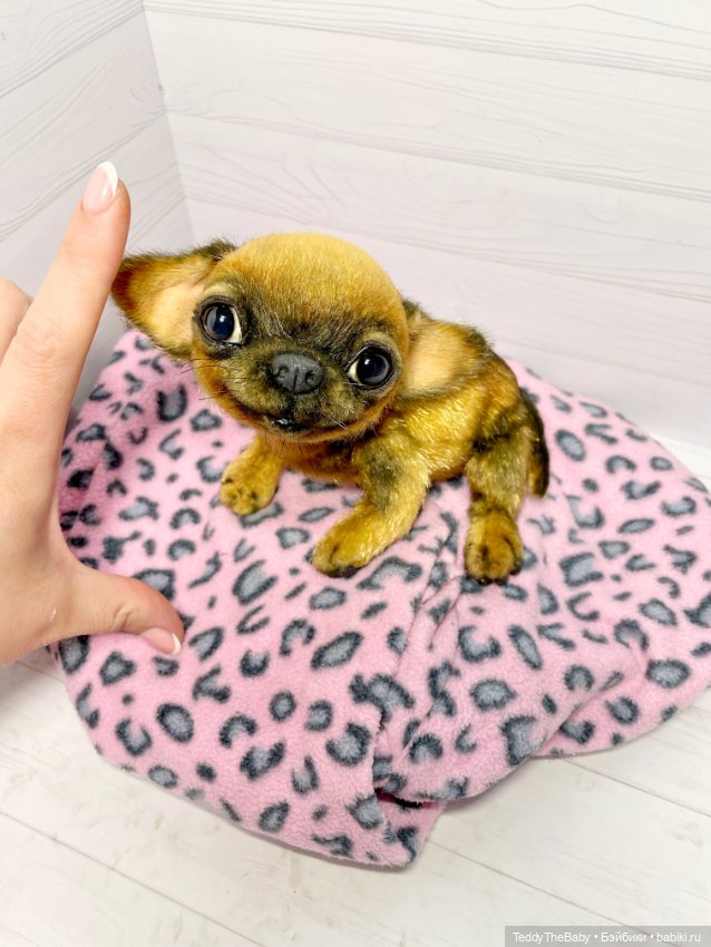 Joy 17 см чихуахуа 🐾🐶 — Реалистичные игрушки и звери (Натюр): собаки