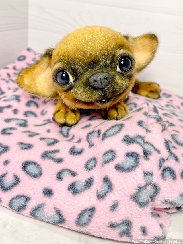 Joy 17 см чихуахуа 🐾🐶 — Реалистичные игрушки и звери (Натюр): собаки