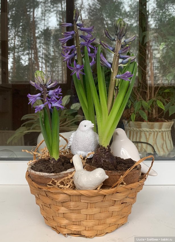 С весенним праздником — Пасхальные открытки и куклы: поздравления (фото 8)