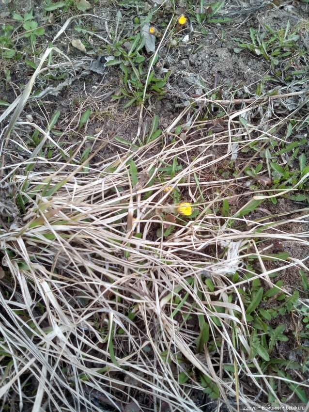 За полчаса до весны — Куклы Barbie (Барби): Looks