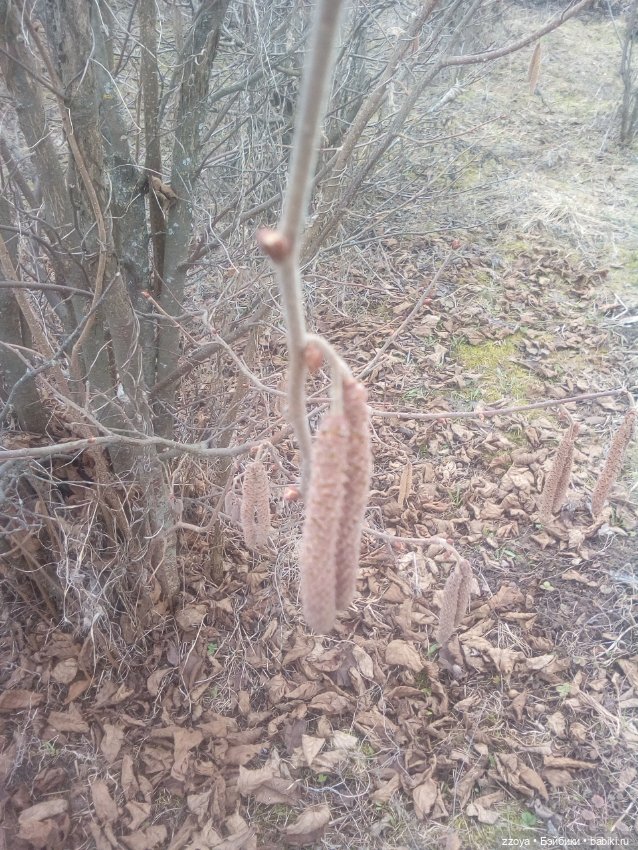 За полчаса до весны — Куклы Barbie (Барби): Looks (фото 10)