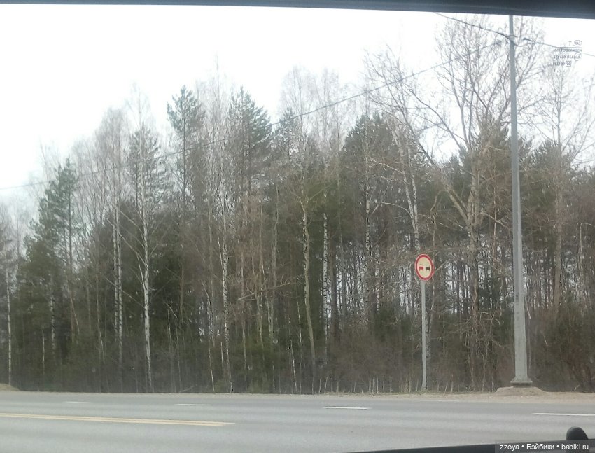 За полчаса до весны — Куклы Barbie (Барби): Looks