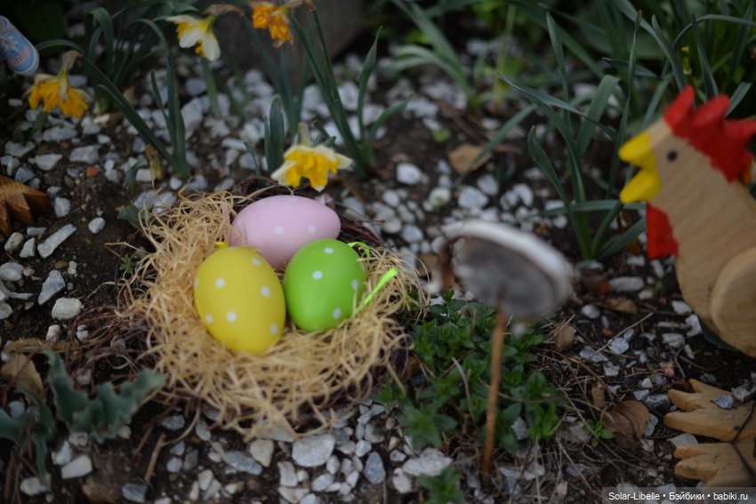 Скарлет Ruby Red на прогулке