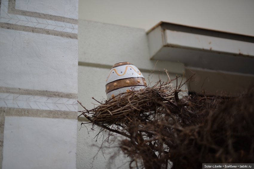 Скарлет Ruby Red на прогулке