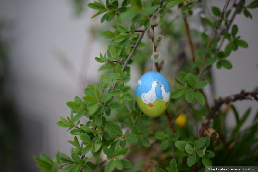 Скарлет Ruby Red на прогулке