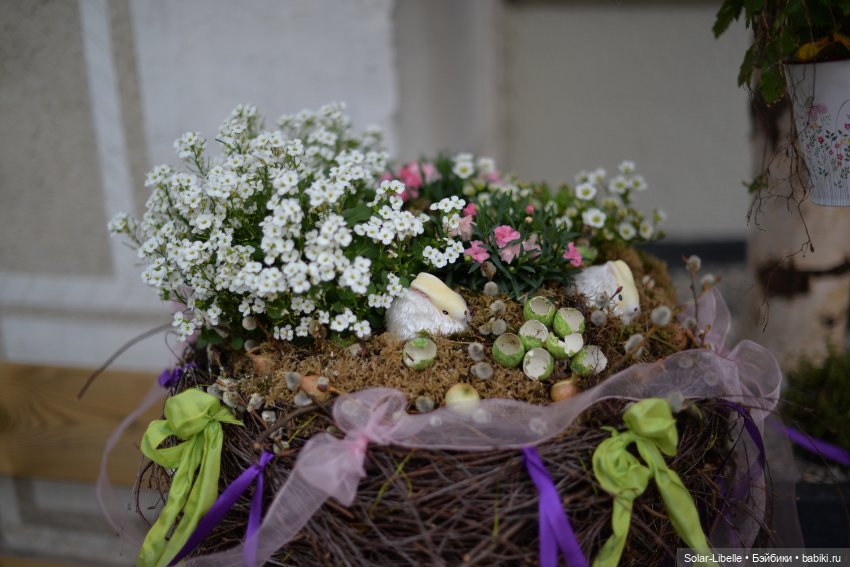 Скарлет Ruby Red на прогулке