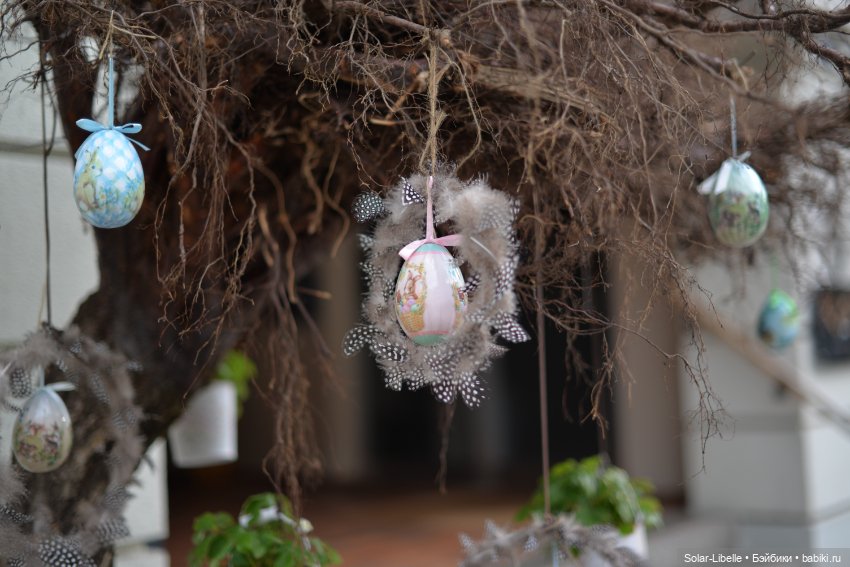 Скарлет Ruby Red на прогулке