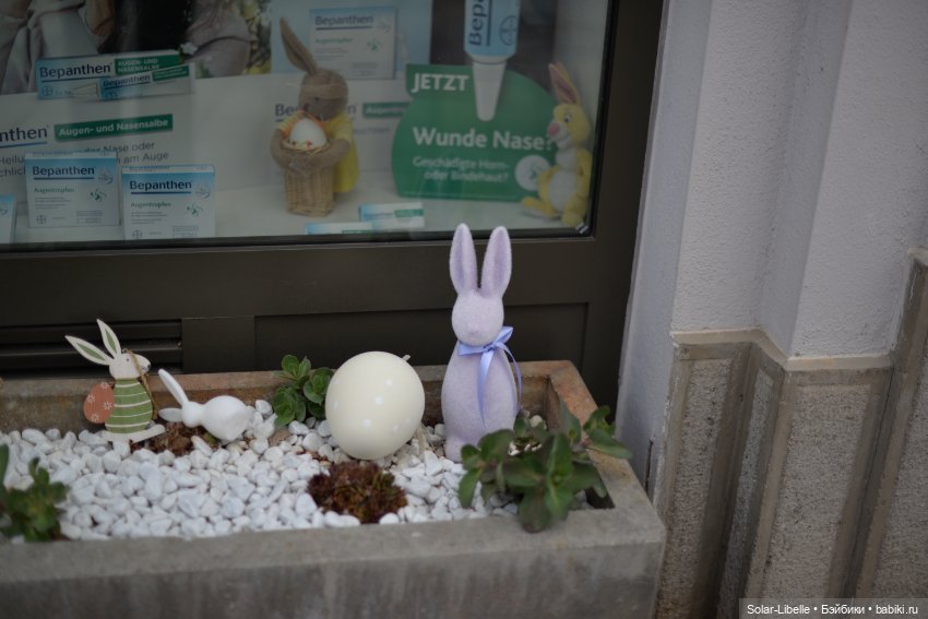 Скарлет Ruby Red на прогулке