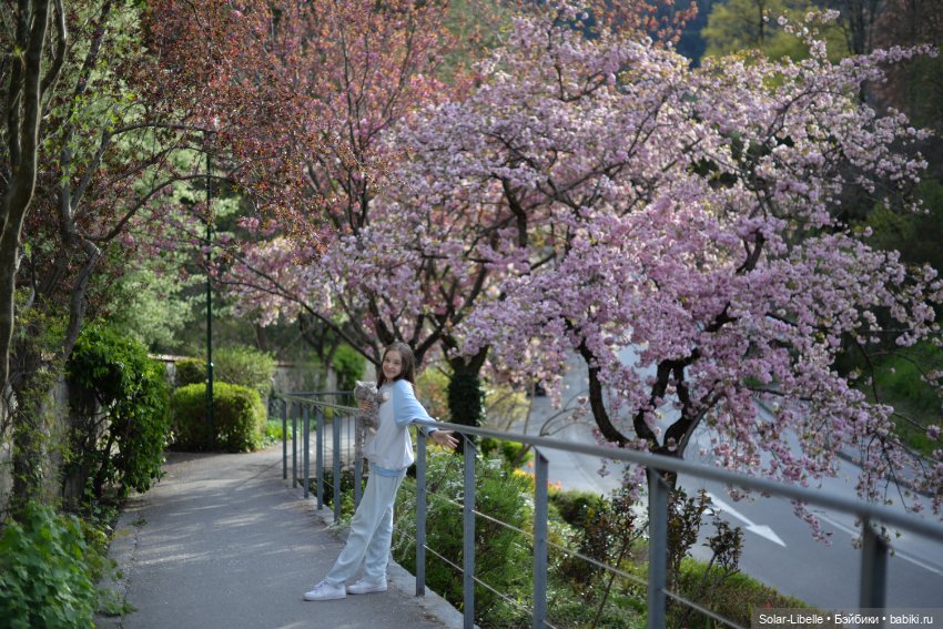 Скарлет Ruby Red на прогулке