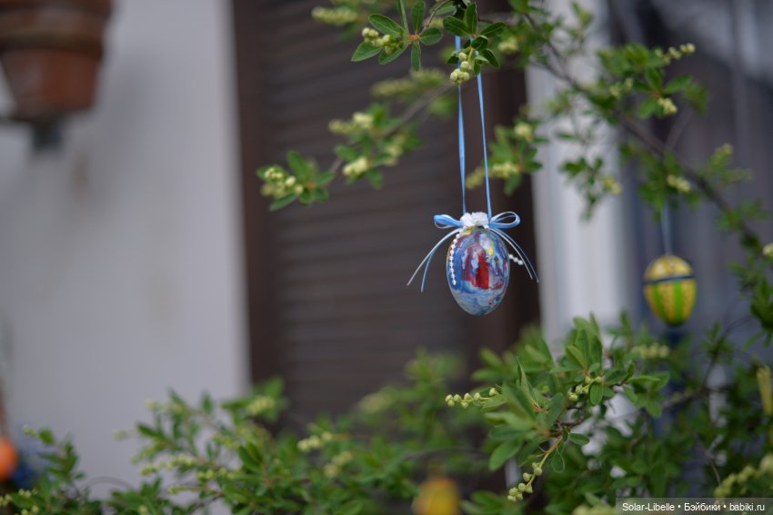 Скарлет Ruby Red на прогулке