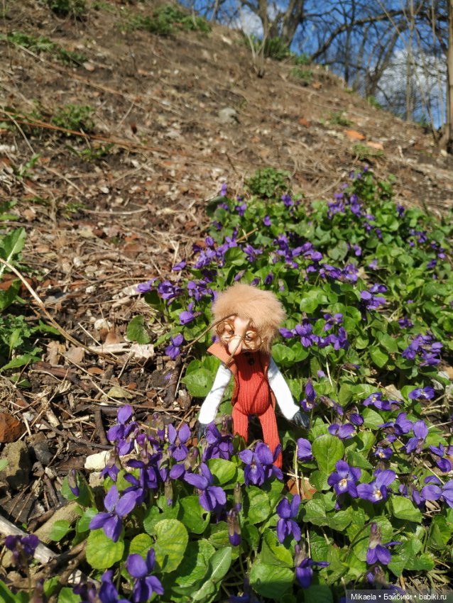 Я выгуливала своего таракана