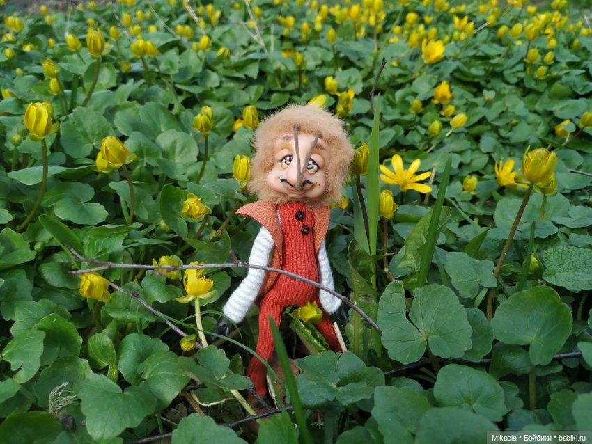 Я выгуливала своего таракана (фото 7)