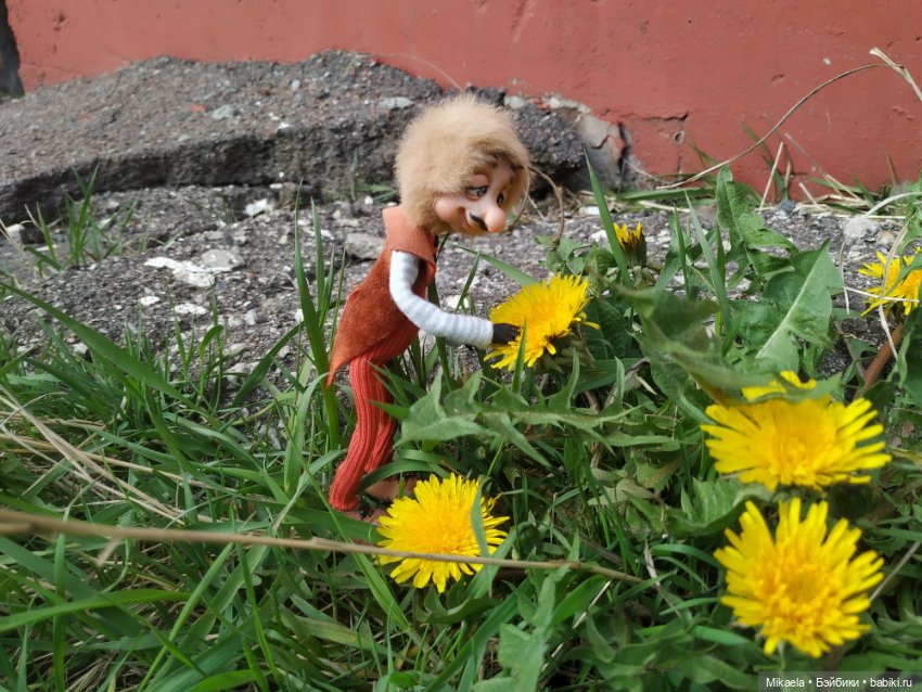 Я выгуливала своего таракана (фото 6)