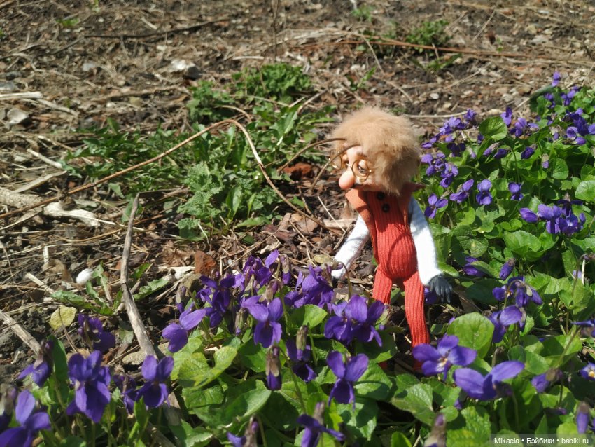 Я выгуливала своего таракана (фото 10)