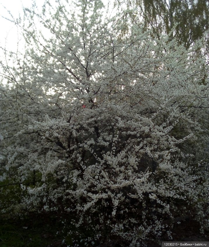 Как же здорово весной — Игровые куклы разных производителей (Разное): редкие бренды