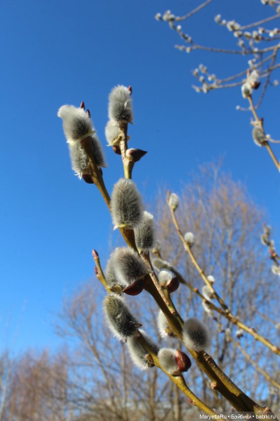 Весна и качели — Кукольные фотоистории и сериалы: комиксы (фото 8)