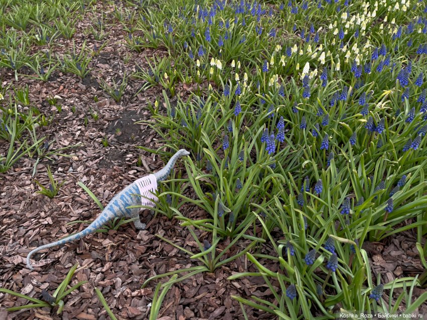 Немного о талисманах (часть вторая).Новый друг (фото 4)