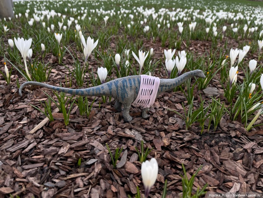 Немного о талисманах (часть вторая).Новый друг (фото 5)