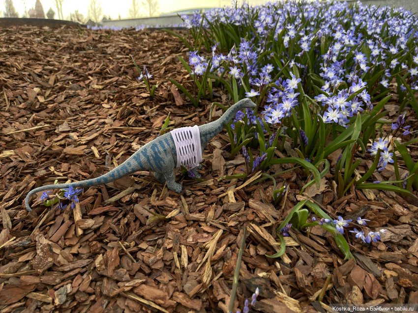 Немного о талисманах (часть вторая).Новый друг (фото 6)