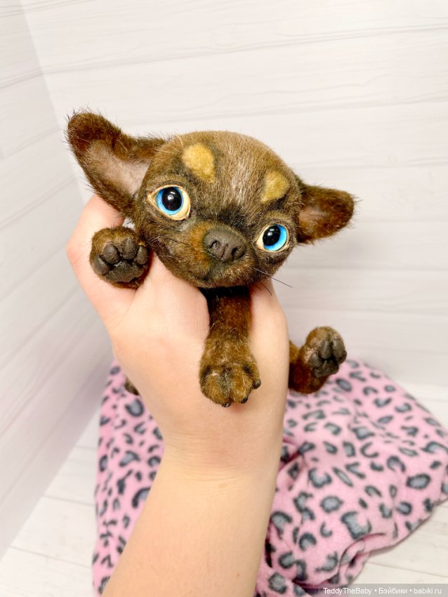 Бо🐾🐶чихуахуа 17 см — Реалистичные игрушки и звери (Натюр): собаки (фото 4)