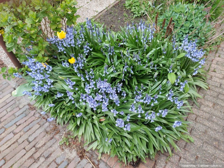 Fashion Dolls 345 — Туризм и путешествия: фотоотчеты из поездок (фото 5)