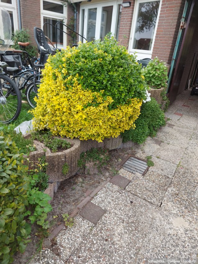 Fashion Dolls 345 — Туризм и путешествия: фотоотчеты из поездок (фото 6)