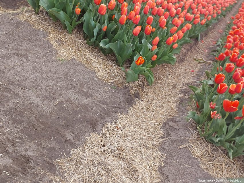 Fashion Dolls 345 — Туризм и путешествия: фотоотчеты из поездок