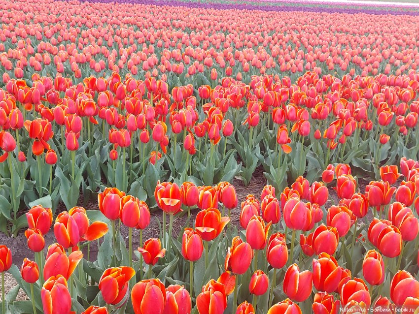 Fashion Dolls 345 — Туризм и путешествия: фотоотчеты из поездок