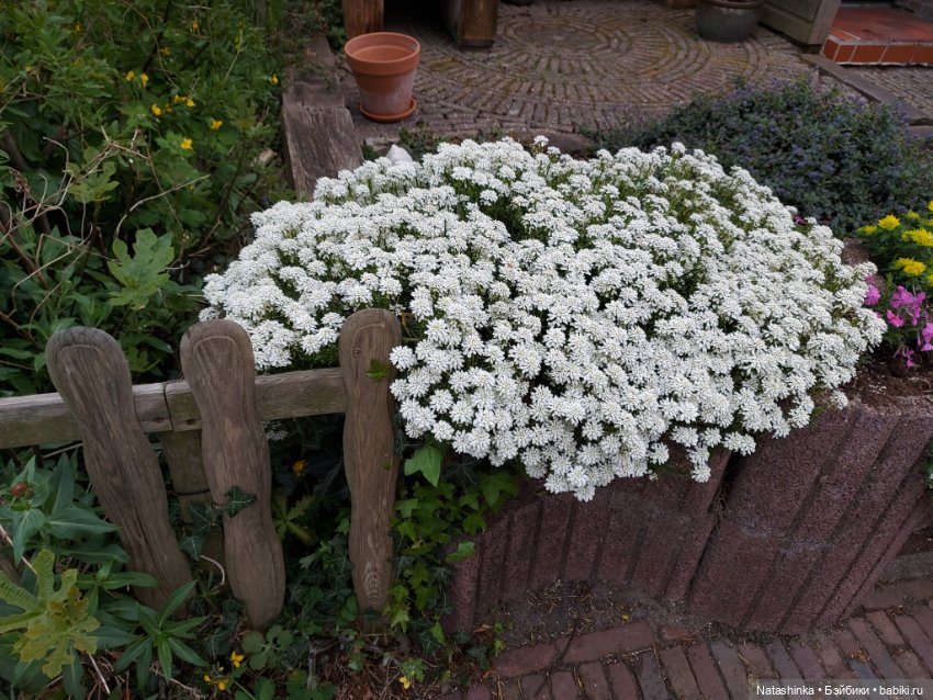 Fashion Dolls 345 — Туризм и путешествия: фотоотчеты из поездок