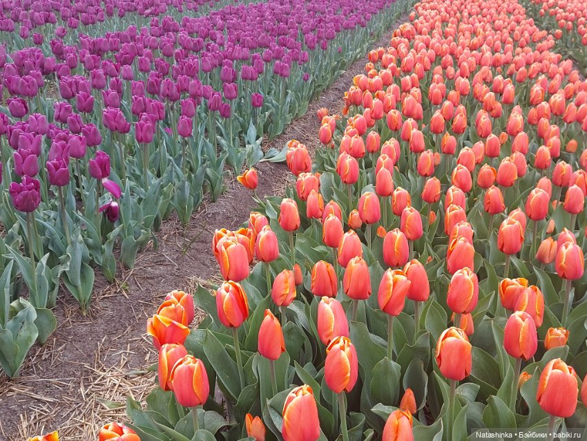 Fashion Dolls 345 — Туризм и путешествия: фотоотчеты из поездок