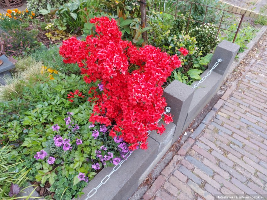 Fashion Dolls 345 — Туризм и путешествия: фотоотчеты из поездок